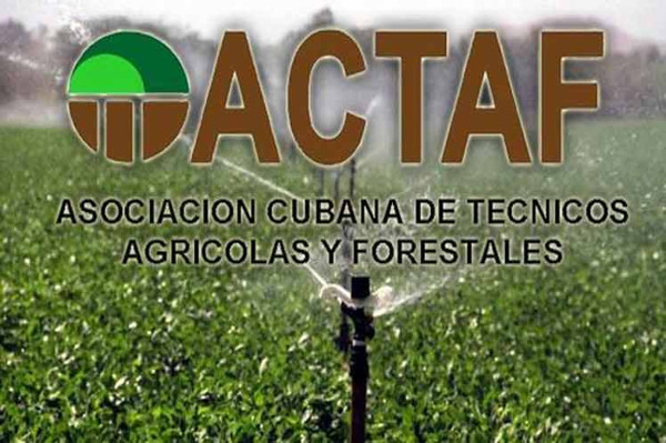 ACTAF Sobre sistemas agroalimentarios sostenibles debaten delegados
