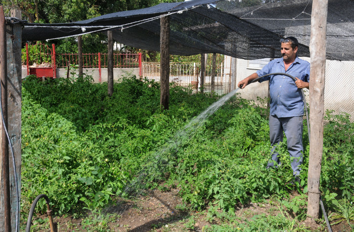 Farmers from Camagüey organize leisure activities in the summer