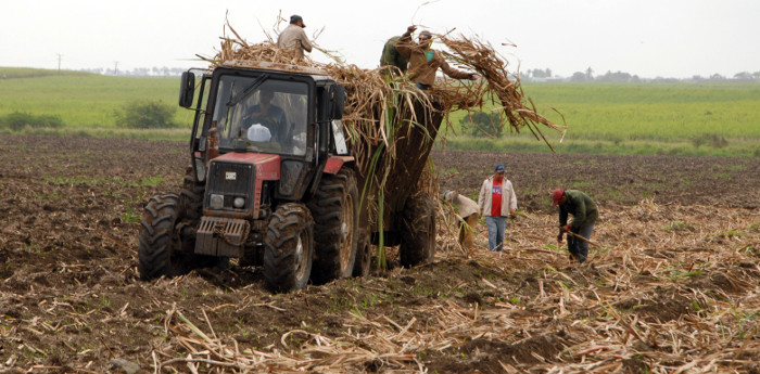 Foto: Otilio Rivero Delgado/ Adelante Economía anfitriona en el quehacer popular