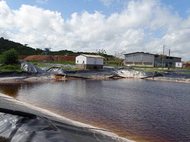 Empresa contratista camagüeyana por el cuidado al medio ambiente 