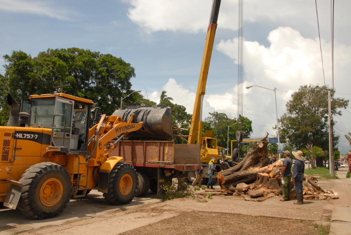 La otra cara de Irma