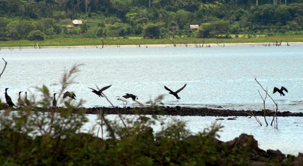 Foto: Rodolfo Blanco Cué (ACN)