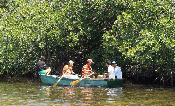 Foto: Archivo En Camagüey: Destacamentos Mirando al mar contribuyen a la recuperación en el litoral