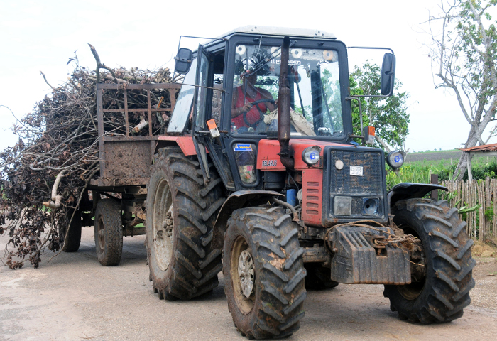Fotos: Orlando Durán Hernández/ Adelante Tomarle el pulso a Esmeralda