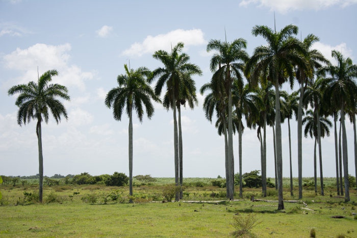 Fotos: Leandro Pérez Pérez/ Adelante