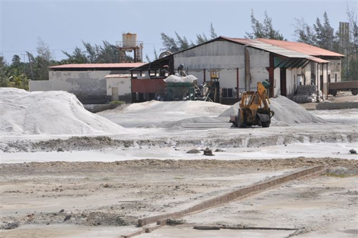 Aseguran en salina camagüeyana producción del condimento