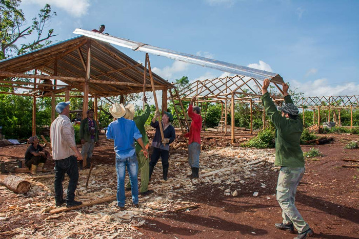 Fotos: Leandro Pérez Pérez/ Adelante Agricultores cosechan casas