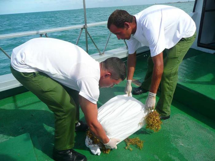 Foto: Tomada de http://www.granma.cu Confiscan en Cuba más de cuatro toneladas de drogas en recalos