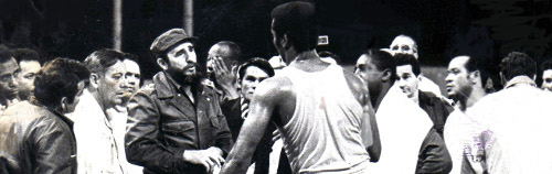 Un Comandante sobre el terreno