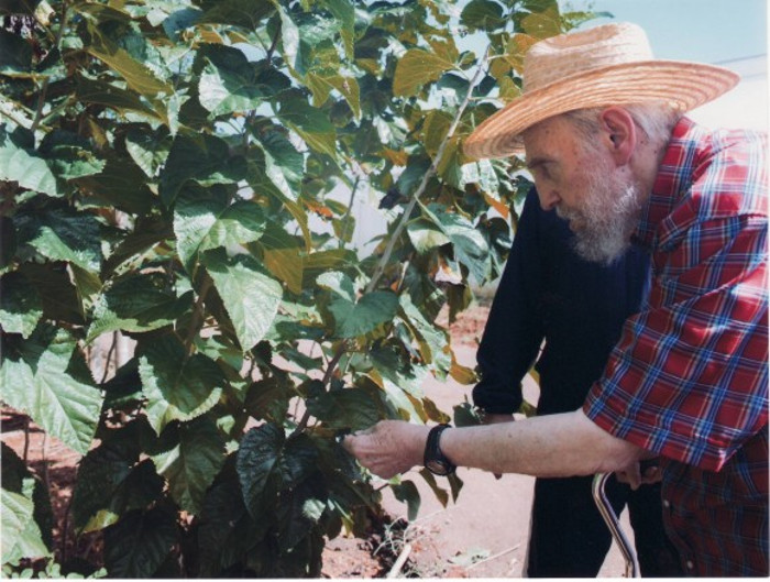 Foto: Tomada de cubadebate.cu