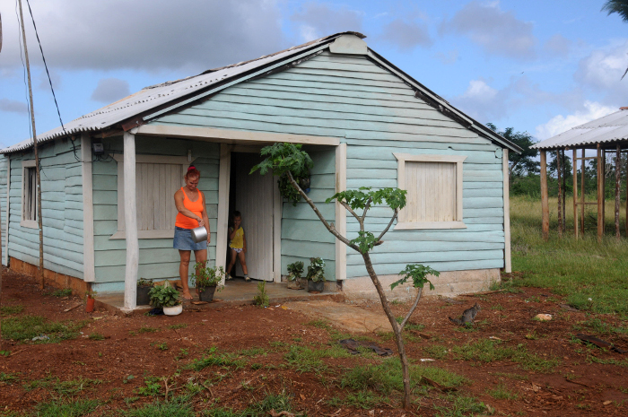 Según Espinosa Martín las llamadas petro palmas son una buena alternativa de construcción. Fotos: Orlando Durán Hernández/ Adelante Reconocen avances en la recuperación de Camagüey (+FOTOS)