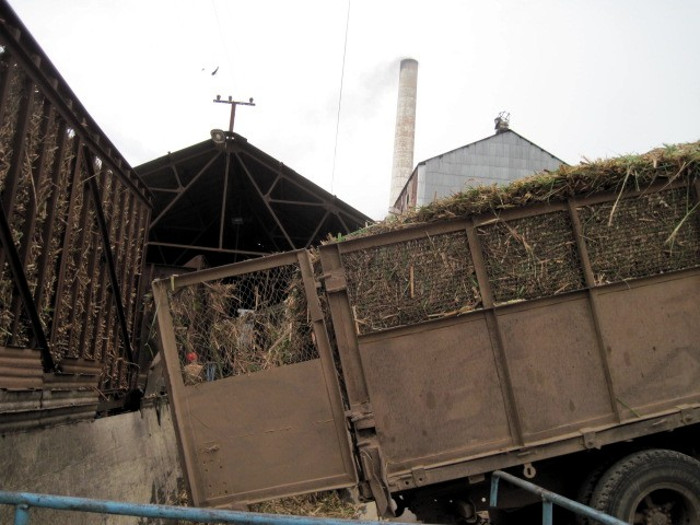 Foto: Del autor Por el Siboney arrancó la zafra azucarera