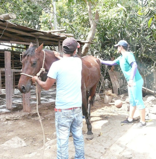 Proyecto de la Universidad de Camagüey llega a Vertientes