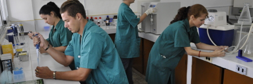 Universidad de Camagüey ejecuta más de 80 proyectos científicos