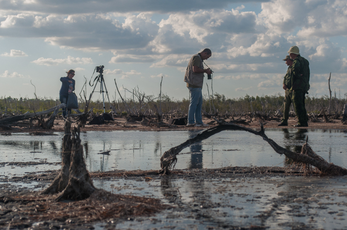 Fotos: Félix Anazco Ramos