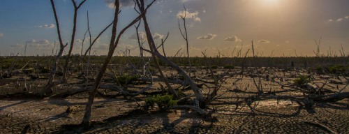 Cuba acciona en el Caribe ante cambio climático