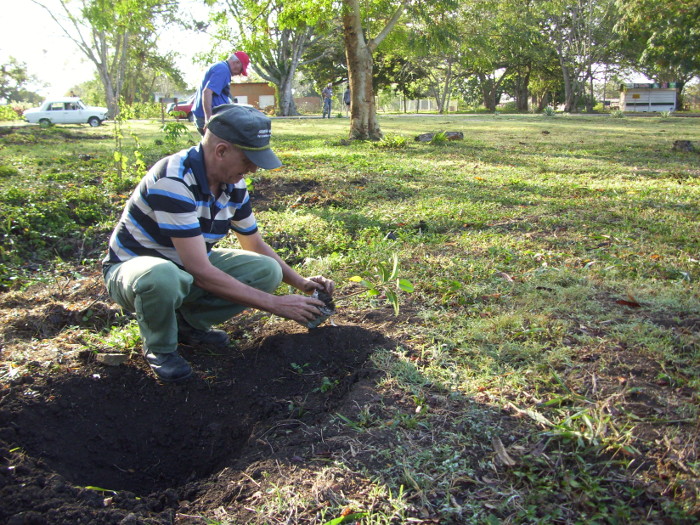 Fotos : Del autor  Periodistas de Camagüey reforestan en el parque botánico