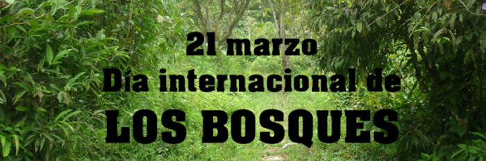 Imagen: Tomada de bosqueslacascada.com