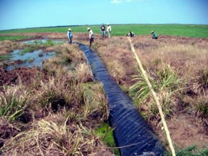 Evite que el agua llegue al mar