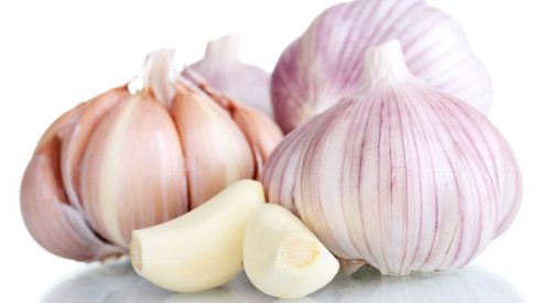 Photo: Archive Garlic: kindness for the health and the palate