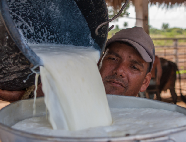 Photo: Leandro Pérez Pérez/Adelante/Archive Cattle cooperative of Camagüey for being supported to the avant-garde in dairy production