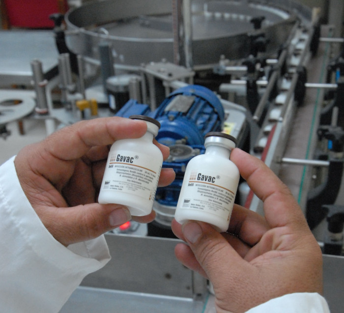 Foto: Otilio Rivero Delgado/Adelante