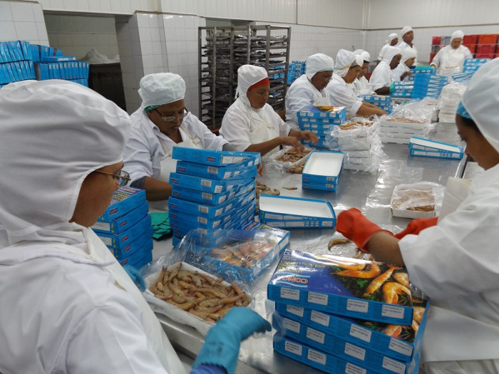 Foto: Tomada de radiosantacruz.icrt.cu Empresa Pesquera santacruceña ejemplo de eficiencia