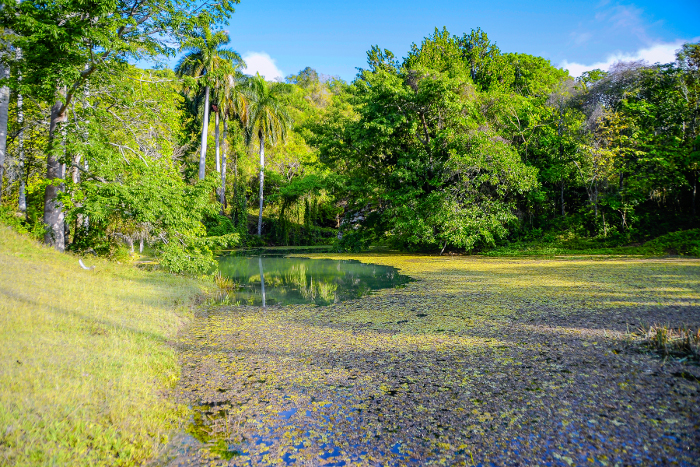 Foto: Gustavo Linares Parrado Gustavo Linares Parrado. 3er lugar Bioencuadre 2017 En Camagüey feria de conocimientos sobre ciencia y sostenibilidad ambiental