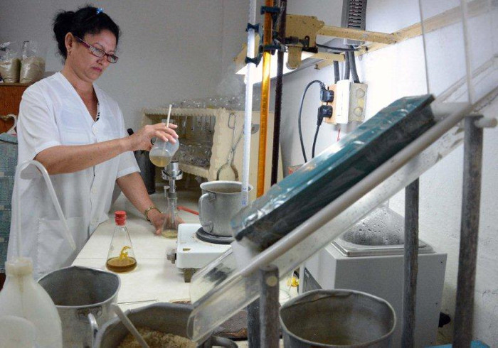 Fotos: Otilio Rivero Delgado/ Adelante Dos dulces veinteañeras entre curtidos hombres