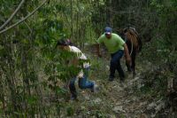 paso-paredones-2