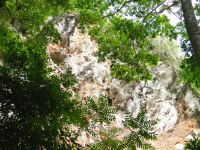 paso-paredones