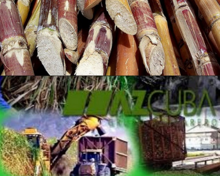 Premio de Periodismo azucarero 2017 Anuncian ganadores del Premio de Periodismo azucarero 2017