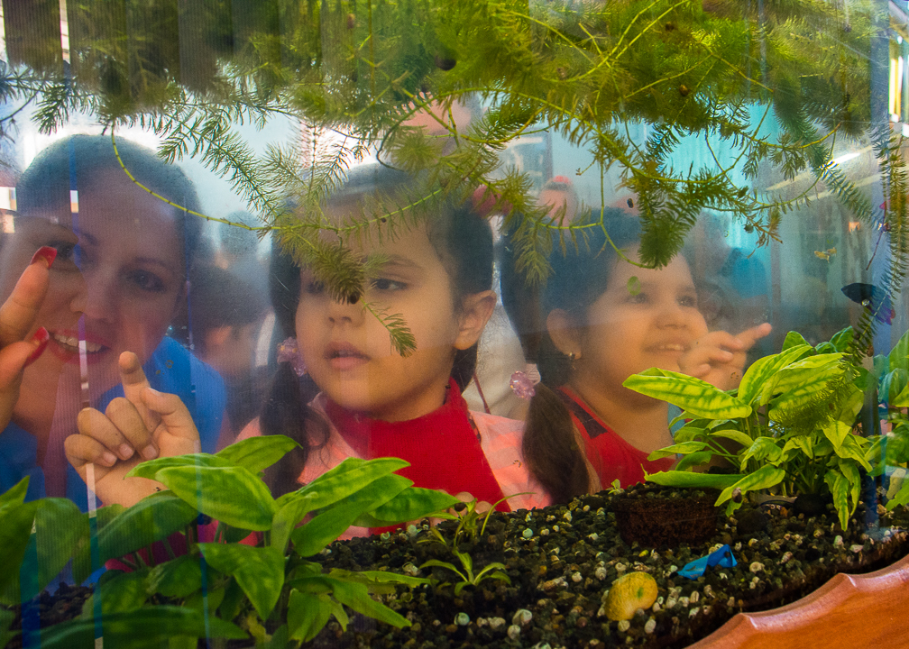 Ellas son las únicas dos niñas de la matrícula de 23 alumnos.