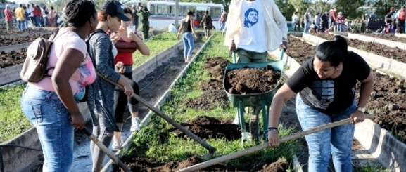 Jóvenes camagüeyanos protagonizan jornada de trabajo voluntario