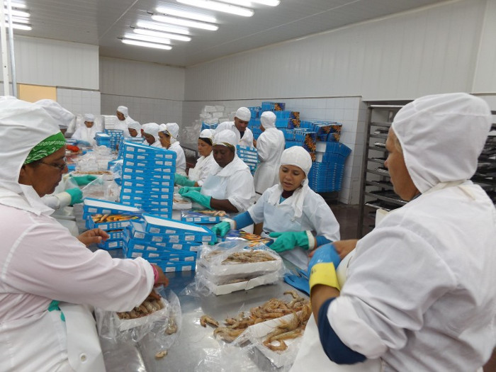 Foto: Cortesía de los profesores de la sede universitaria de Santa Cruz del Sur Cuando soñar cuesta trabajar
