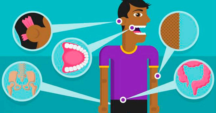 Músculos en las orejas y otras cuatro cosas que tiene el cuerpo y ya no necesita . Foto: Tomada de sostenibilidad.semana.com Cosas que tiene el cuerpo y ya no necesita