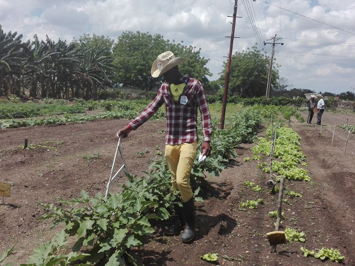 Foto: Yurisey Hechavarría González/ Radio Vertientes Feria juvenil rescata la tradición Agrónoma
