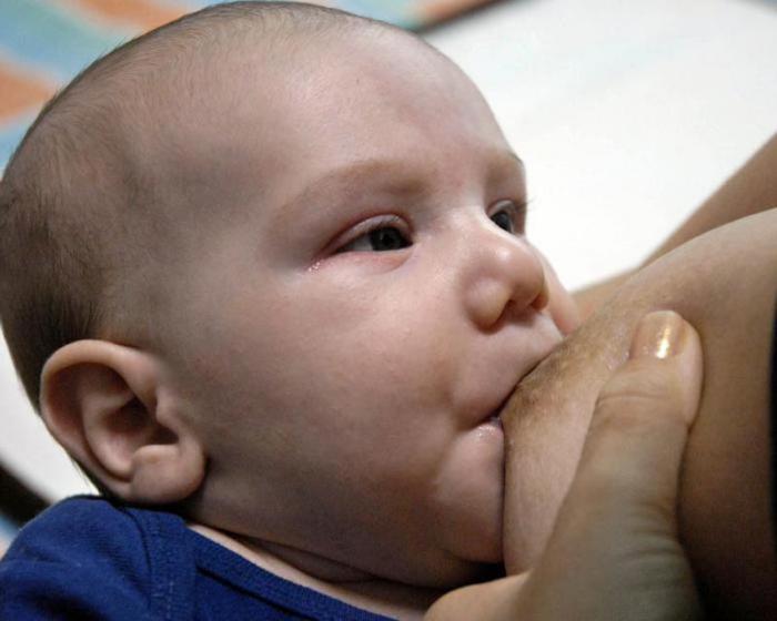 Foto: Anabel Díaz/ granma.cu