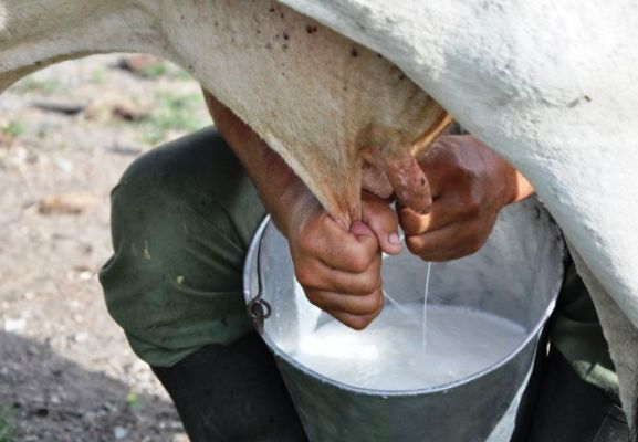 Foto: Tomada de radiocamaguey.wordpress.com