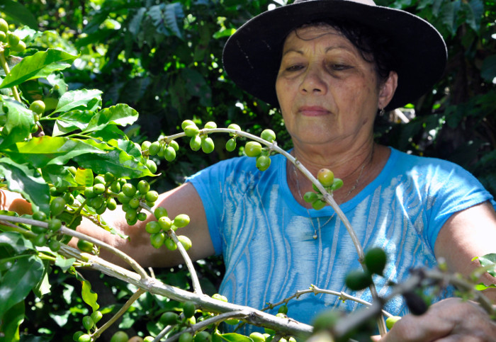 Se destacan campesinos camagüeyanos en el país