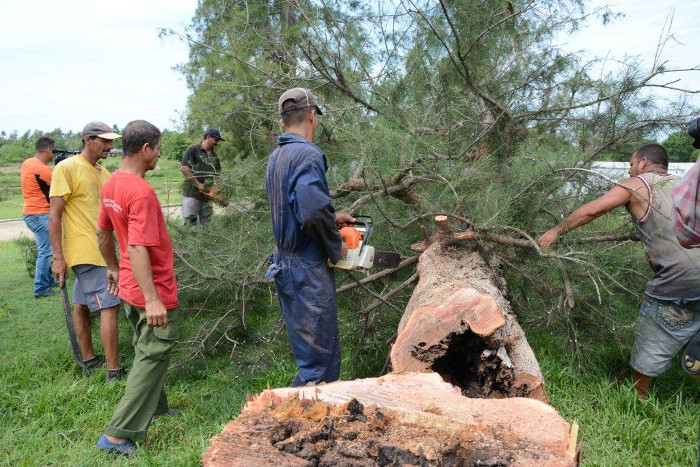 Fotos: Otilio Rivero Delgado/ Adelante Con participación popular cerró el Meteoro 2018 en Camagüey (+Galería)