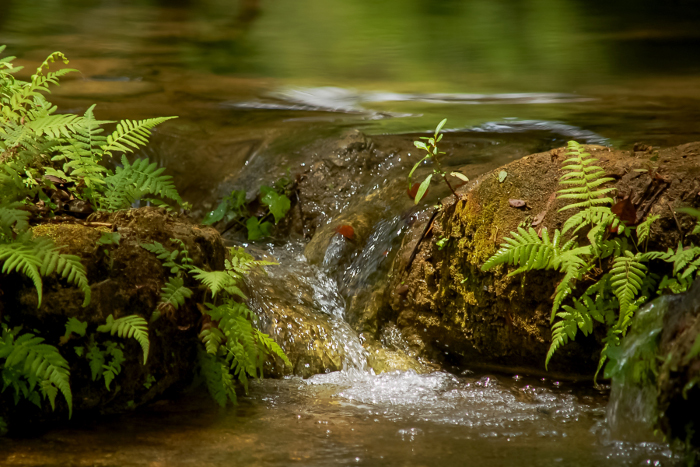 Photo: Guillermo Rivera Molina. Bioenarchy Landscape Mention 2017 Camaguey: Comprehensive Work in Favor of the Environment