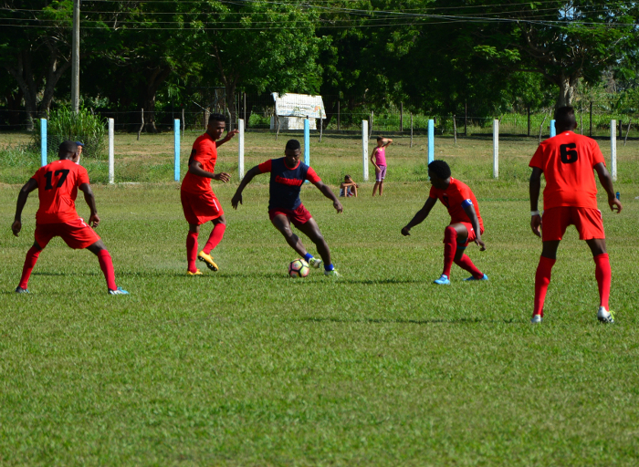 Foto: Del Autor Miuras ya están zona de medallas