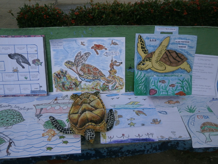 ¡Ponte tu caparazón y protege el medio ambiente!