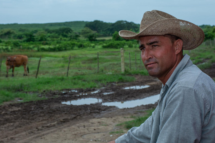 Foto: Leandro Pérez Pérez/ Adelante Relevo de la tradición ganadera camagüeyana
