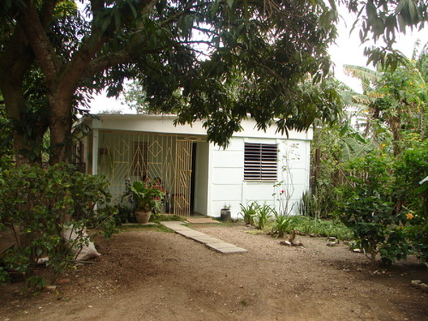 Fotos: del autor Jimaguayú recupera bien su camino