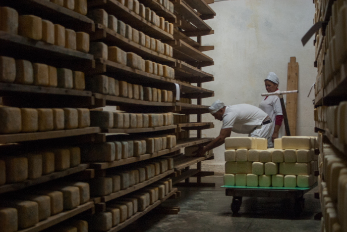 Foto: Leandro Pérez Pérez/ Adelante/ Archivo Encuentro nacional de queseros en Camagüey