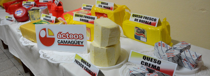 Despegue hacia una mayor producción de quesos 