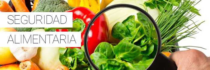 Chef expone en FAO experiencias de seguridad alimentaria