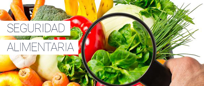 Imagen: Tomada de cubatv.icrt.cu Chef expone en FAO experiencias de seguridad alimentaria